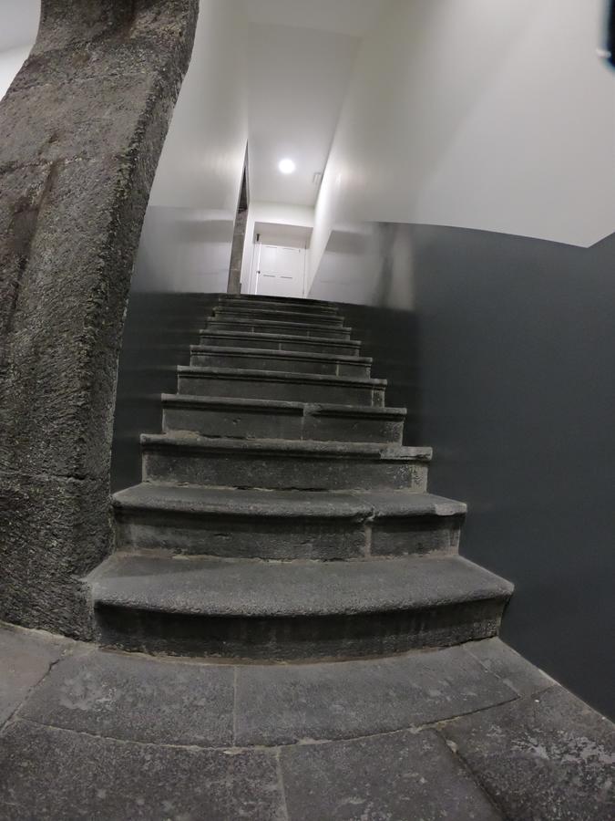 Apartamentos Da Queimada Funchal  Dış mekan fotoğraf